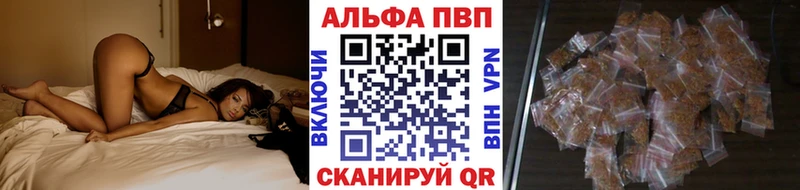 мориарти какой сайт  Каменка  Alfa_PVP СК 