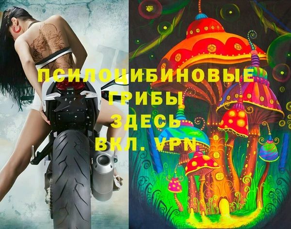 сатива Балабаново