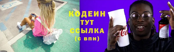 гидра Богородск