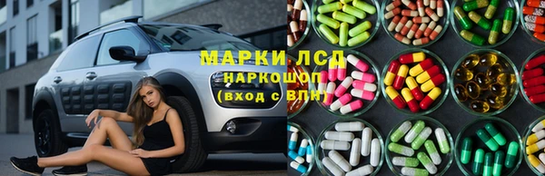 шишки Белокуриха
