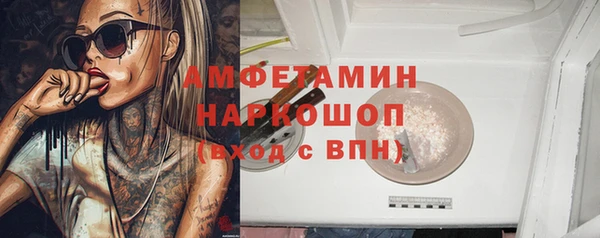 шишки Белокуриха