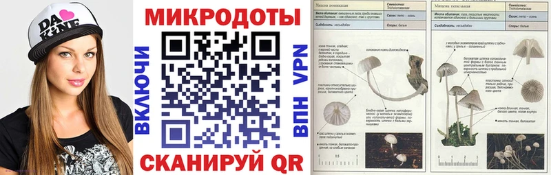 купить закладку  Каменка  Галлюциногенные грибы мицелий 